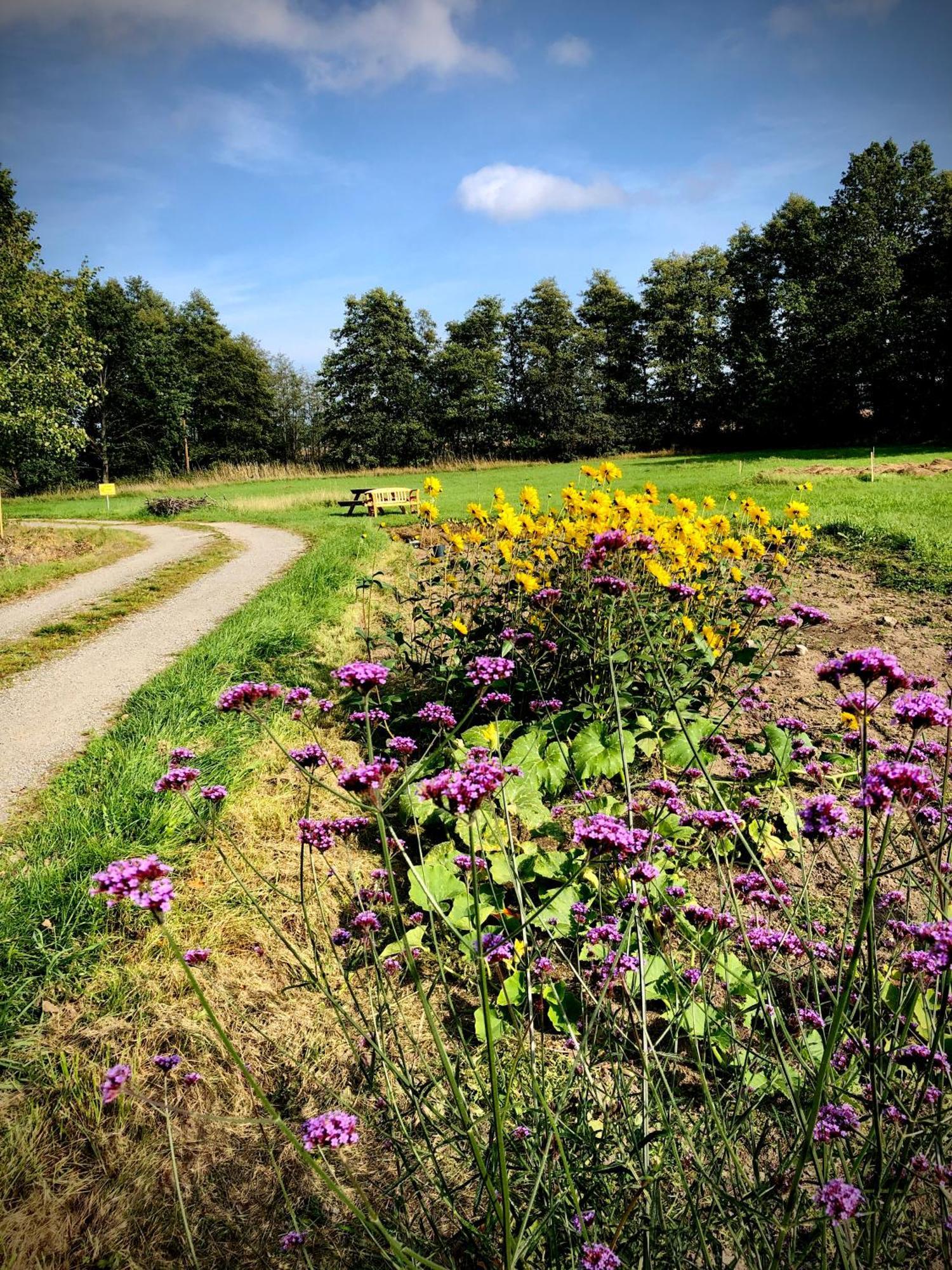 Marsbaecken Hostel Västervik Kültér fotó